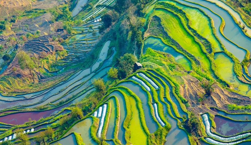 宝妈必备神器：城厢区产品视频拍摄轻松育儿好帮手