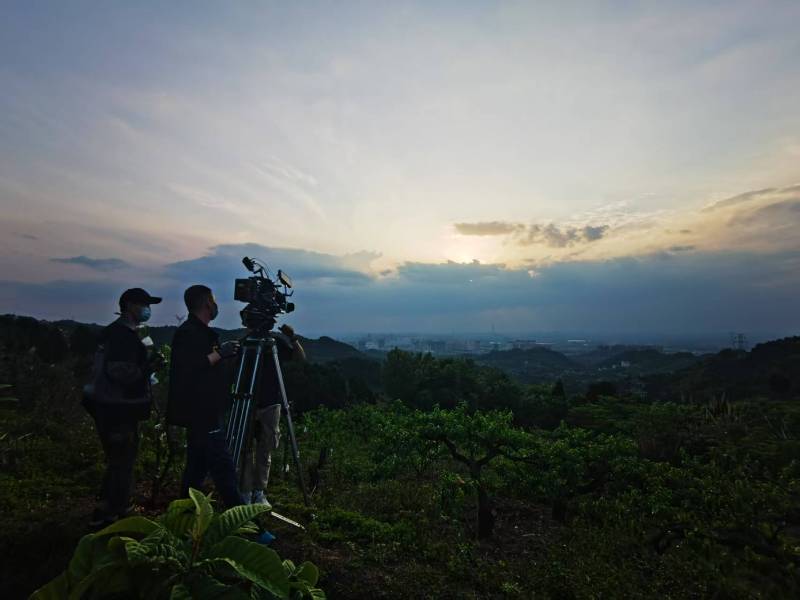 聚焦城厢区产品宣传视频拍摄公司，用专业实力铸就品牌传播传奇