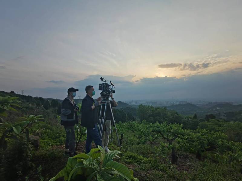 创意破圈！城厢区电商产品宣传视频用故事化叙事引爆流量