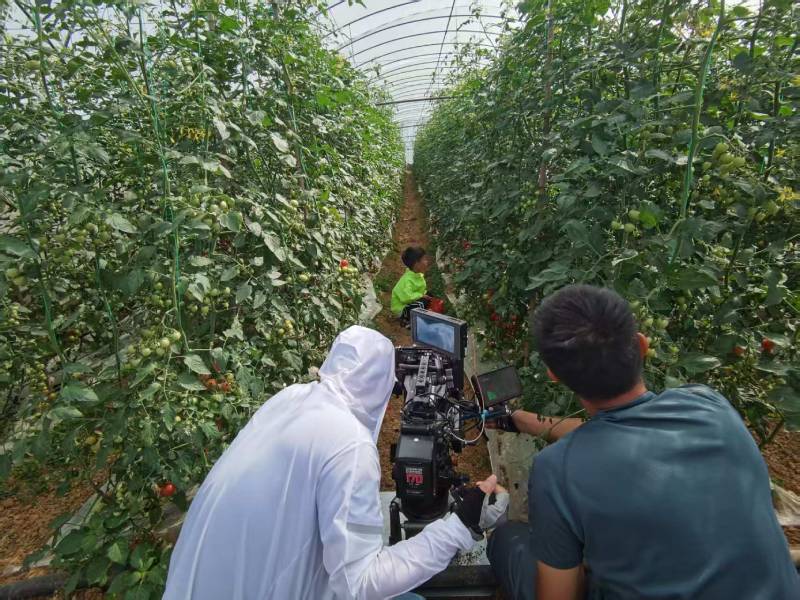 城厢区产品宣传视频拍摄公司进阶指南，助力品牌抢占传播高地